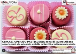 Operaio Pasticceria Categorie Protette Albano Laziale